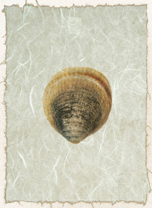 - on , Print by Forbes Art, measuring 19 x 15 cm (H x W) framed at 32 x 27 cm £28